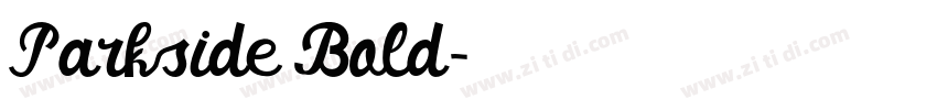 Parkside Bold字体转换 Parkside Bold字体转换